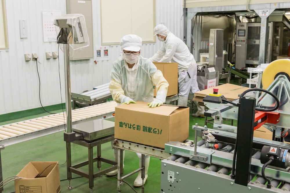 工場内作業