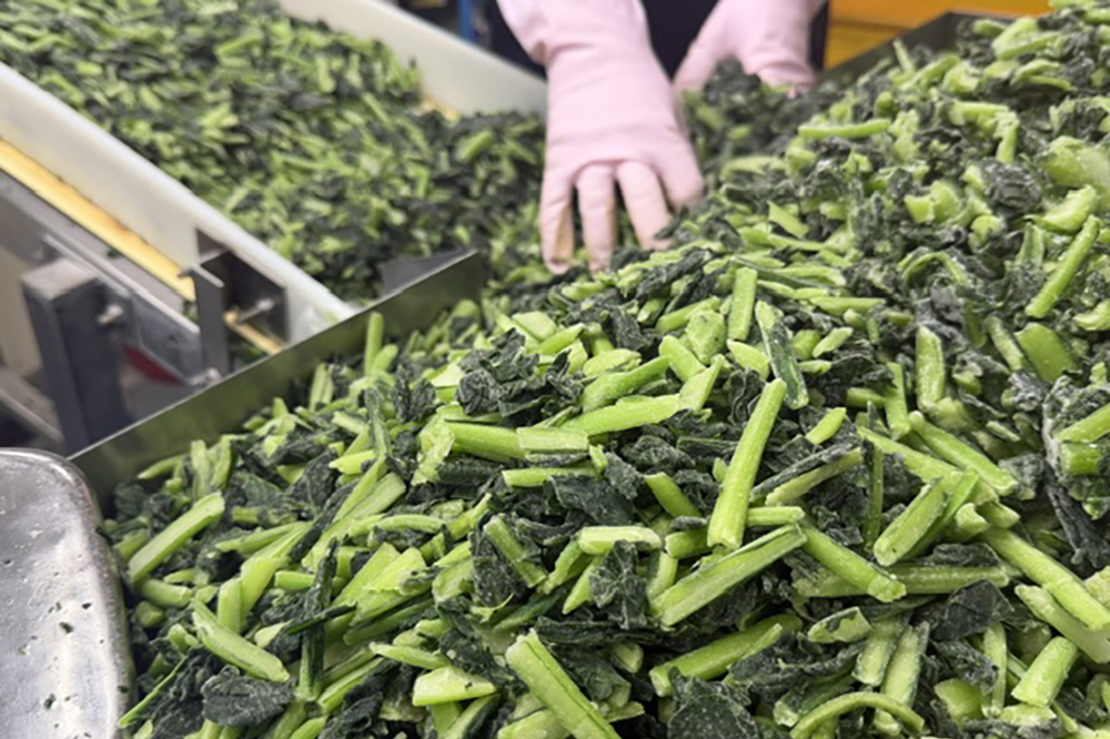 品質を生み出す製造体制