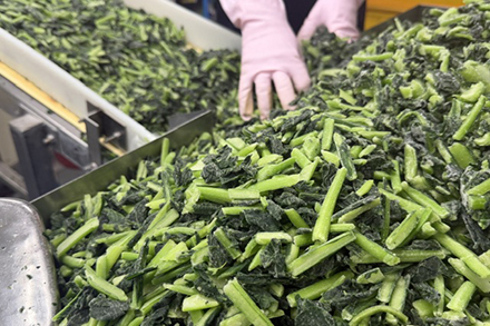 品質を生み出す製造体制